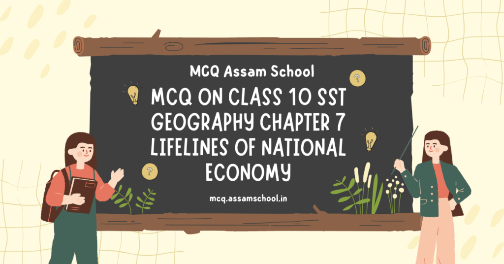 MCQ on Class 10 Social Science Geography Chapter 7 Lifelines of National Economy